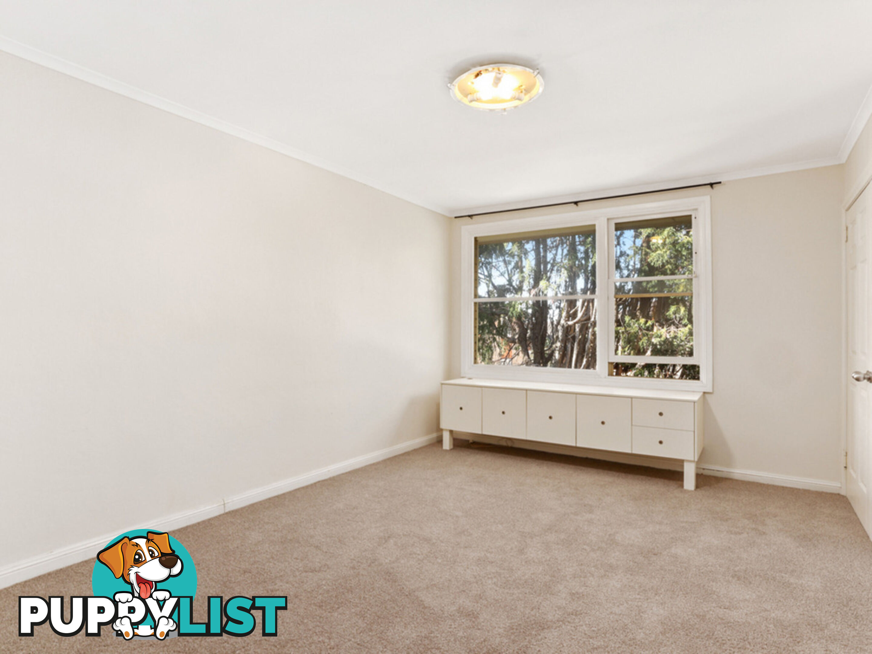 20/30a The Crescent DEE WHY NSW 2099
