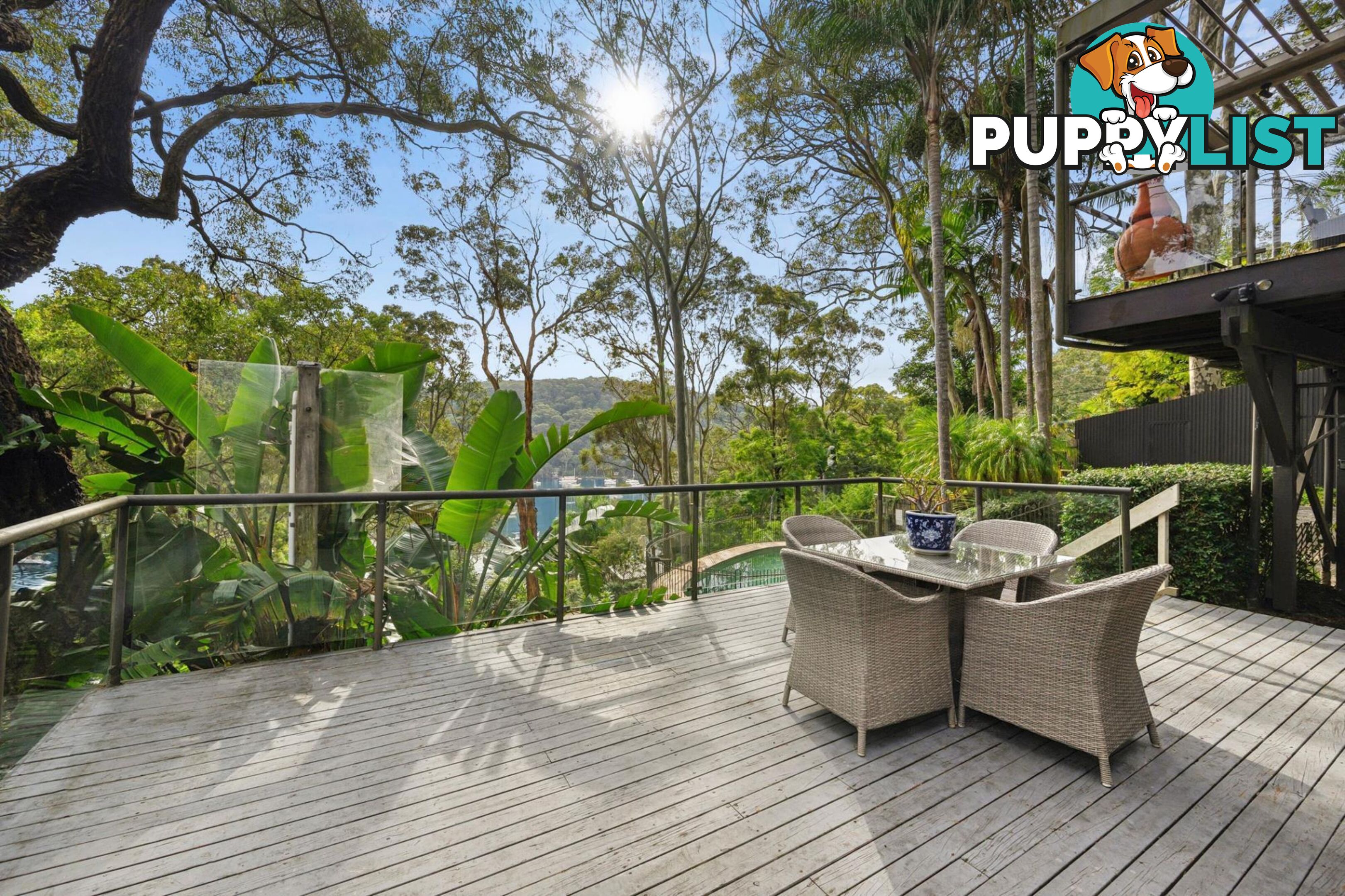 77 McCarrs Creek Road CHURCH POINT NSW 2105