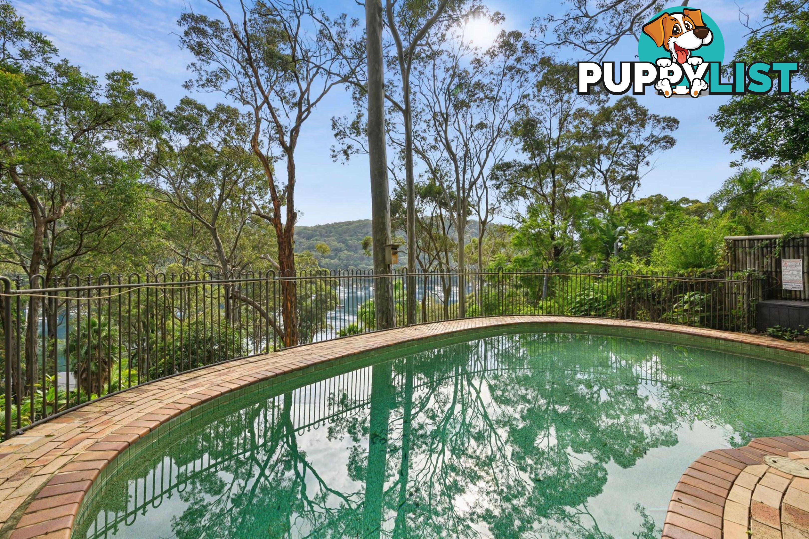 77 McCarrs Creek Road CHURCH POINT NSW 2105