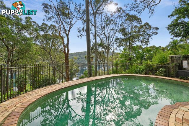 77 McCarrs Creek Road CHURCH POINT NSW 2105