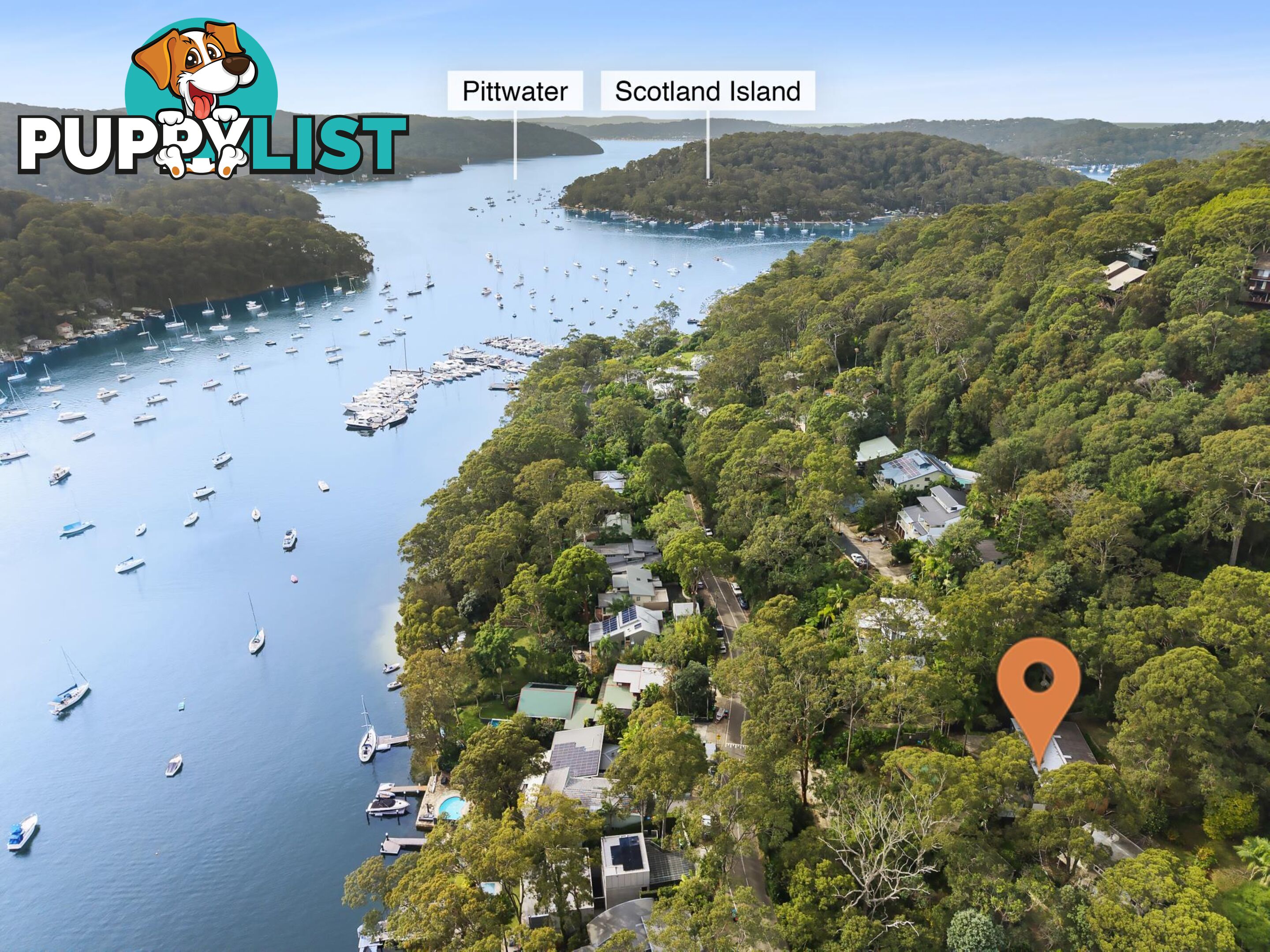 77 McCarrs Creek Road CHURCH POINT NSW 2105