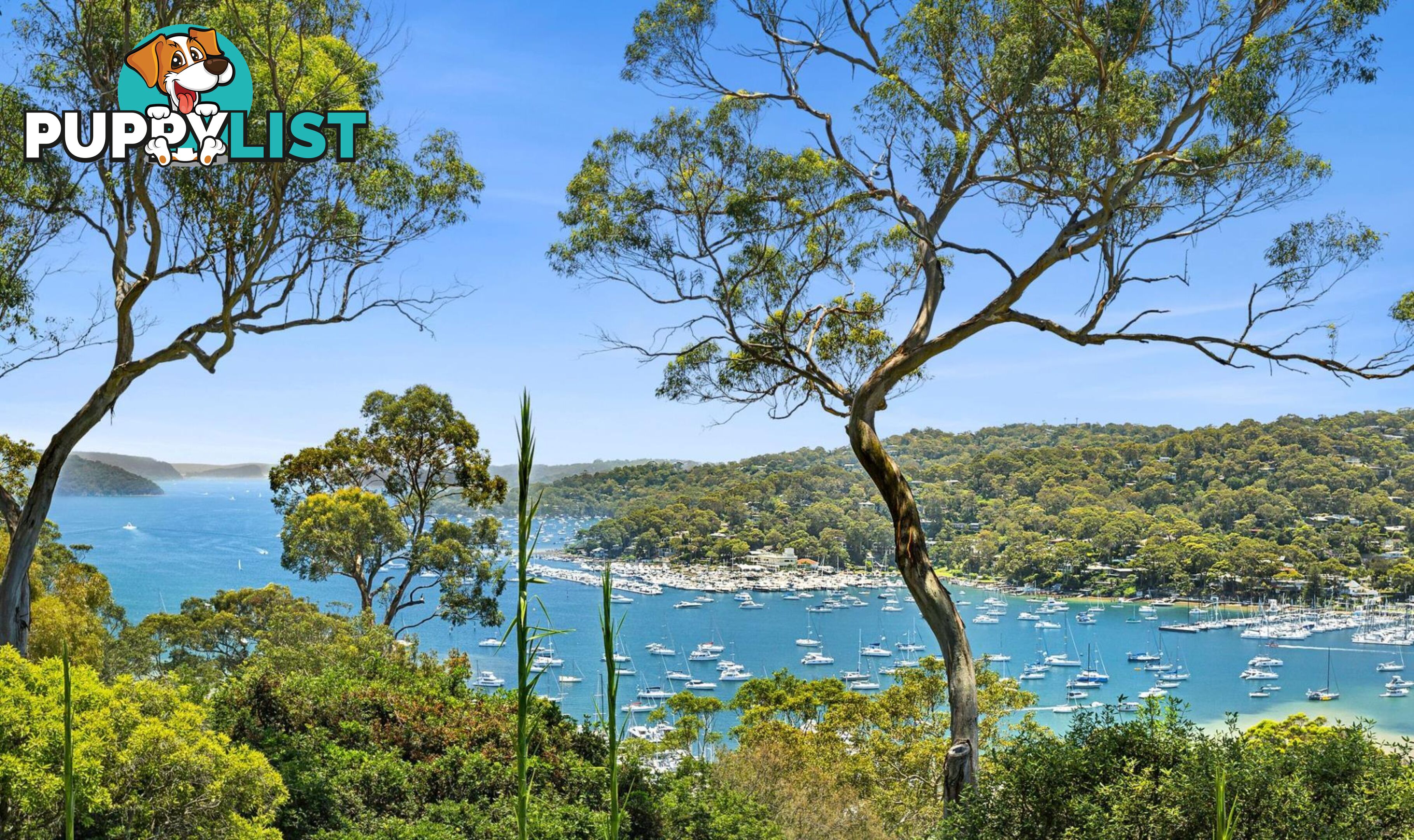 2 Kara Crescent BAYVIEW NSW 2104