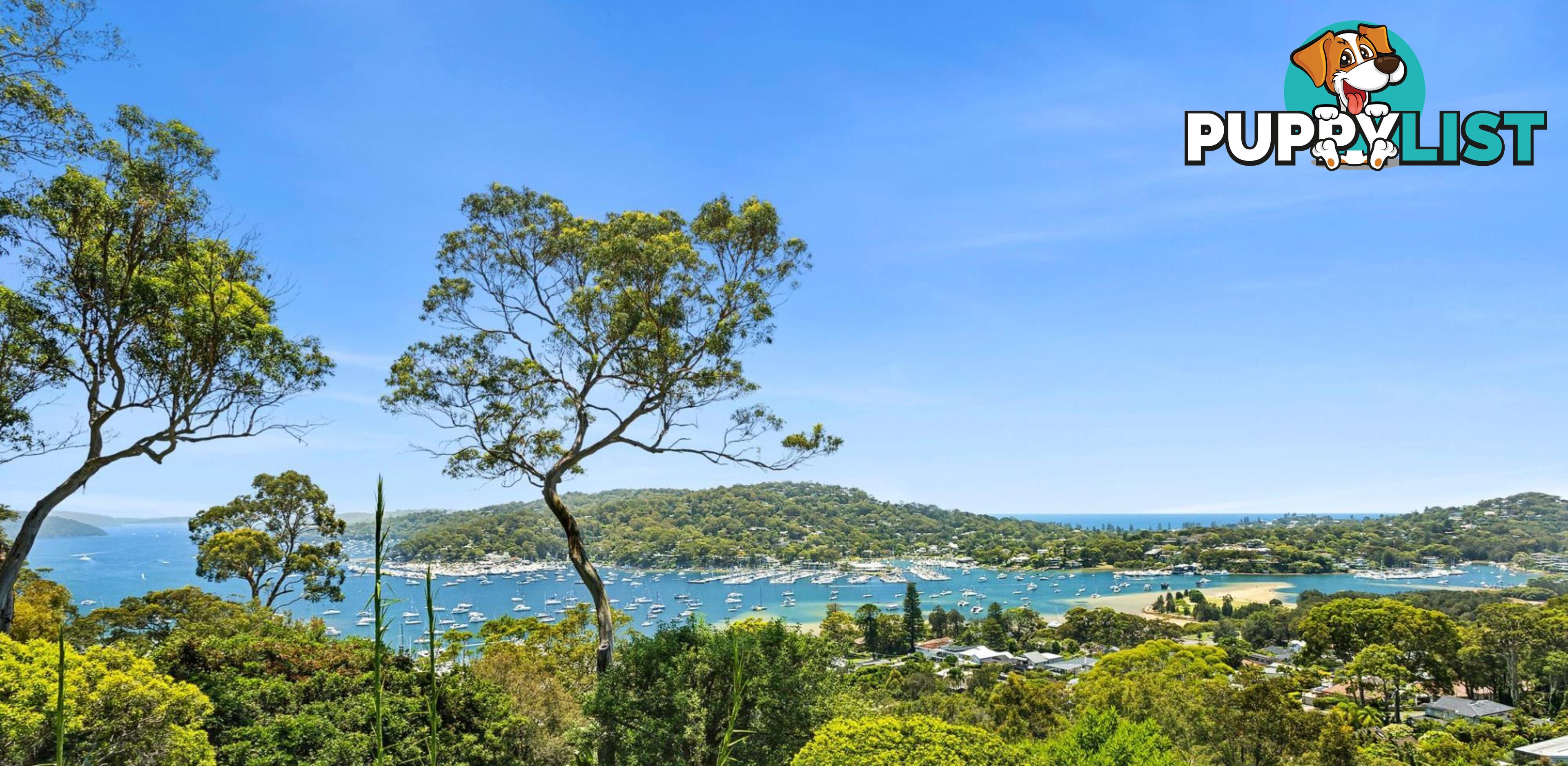 2 Kara Crescent BAYVIEW NSW 2104