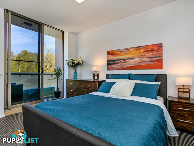 146/2 Firetail Drive WARRIEWOOD NSW 2102