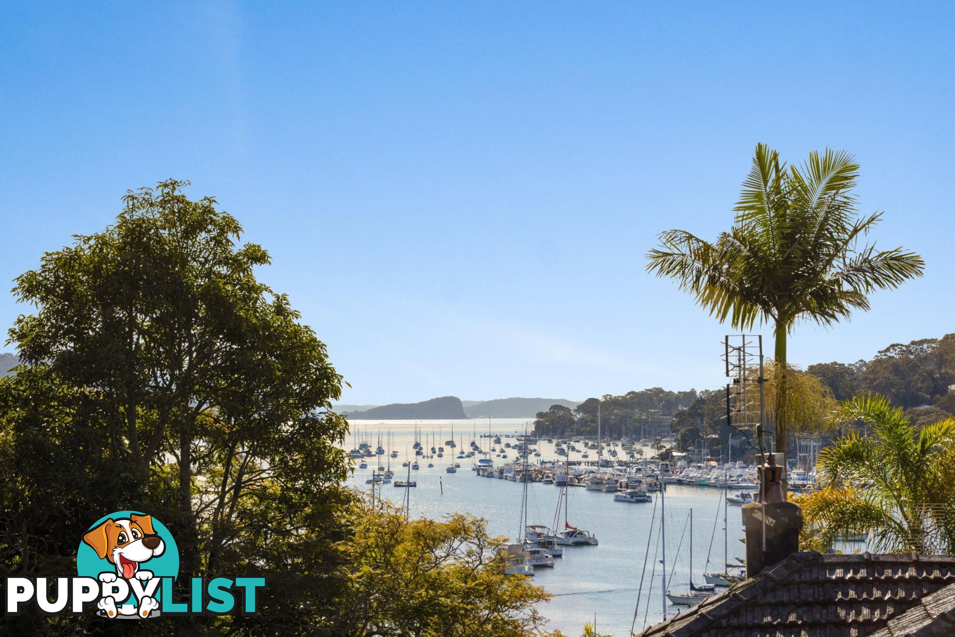 18 Fermoy Avenue BAYVIEW NSW 2104