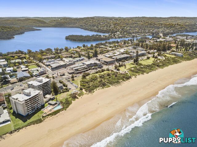 74 Park Street NARRABEEN NSW 2101