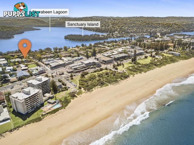 74 Park Street NARRABEEN NSW 2101