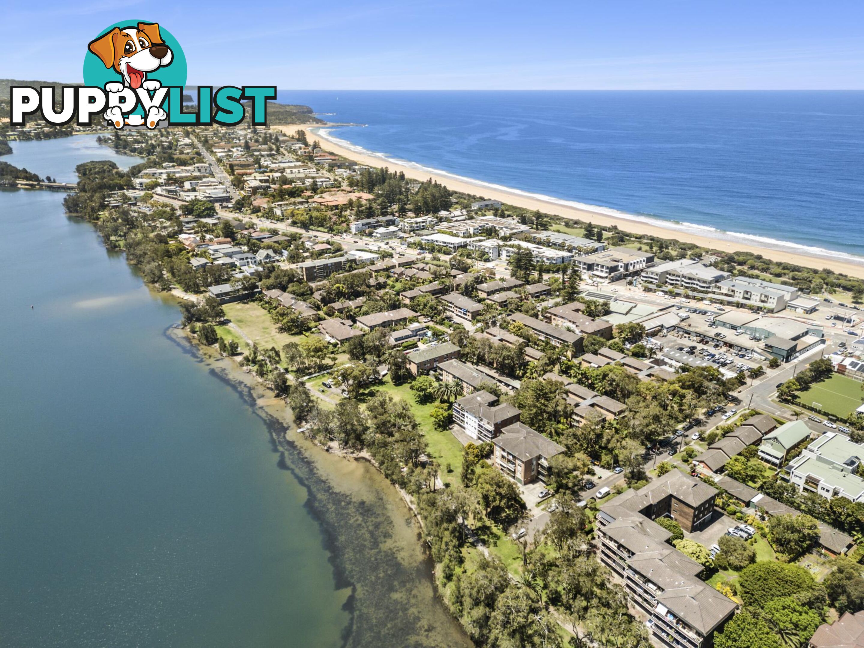 74 Park Street NARRABEEN NSW 2101