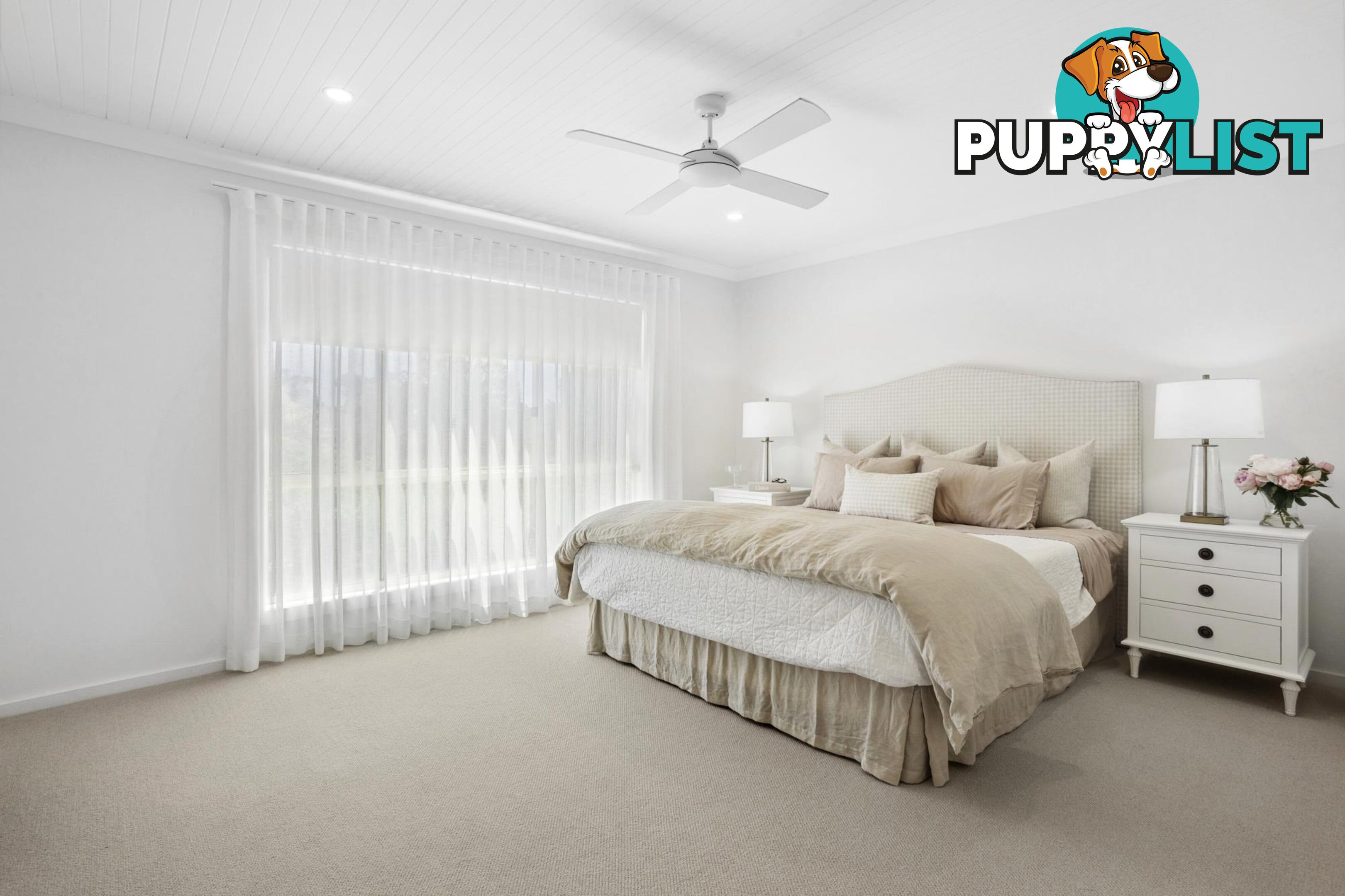 74 Park Street NARRABEEN NSW 2101