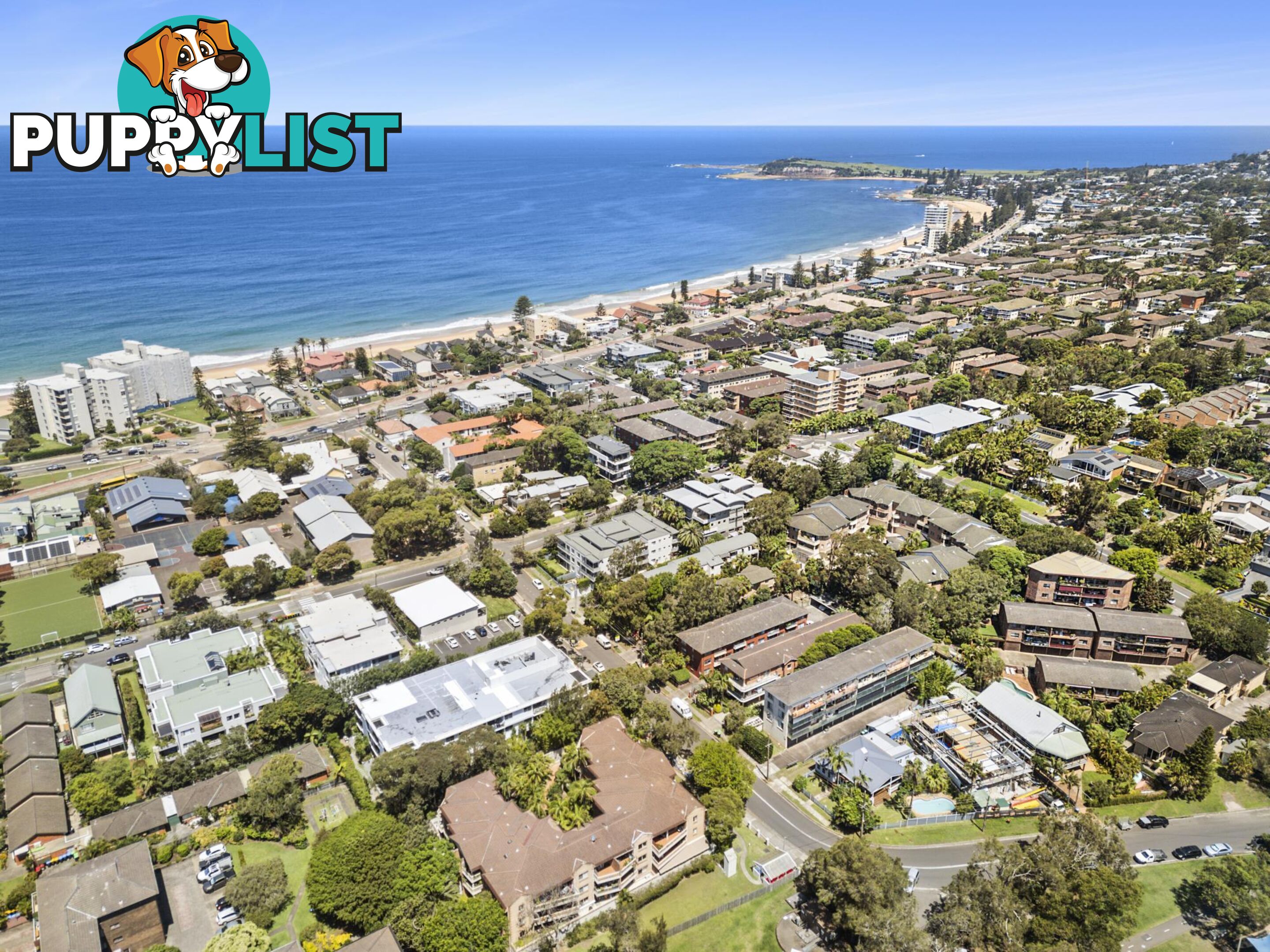 74 Park Street NARRABEEN NSW 2101