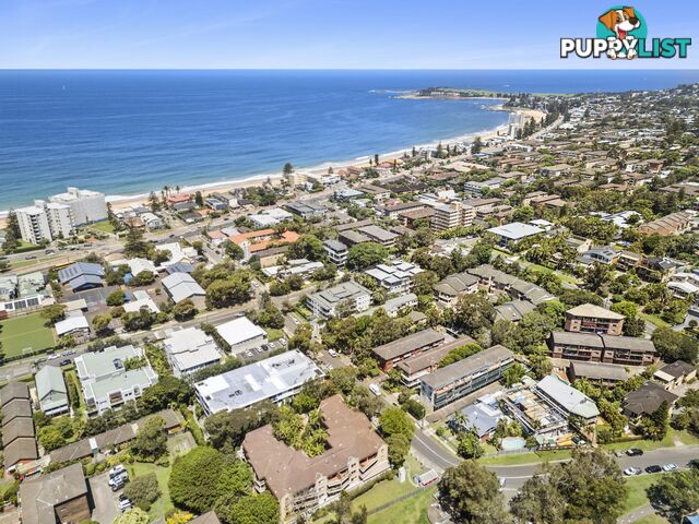 74 Park Street NARRABEEN NSW 2101