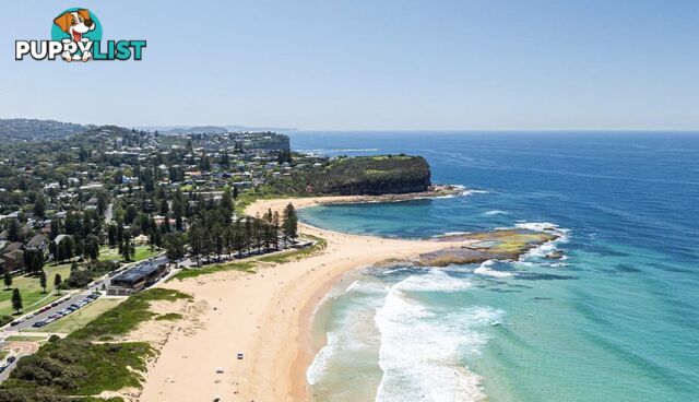 18/14-18 Golf Avenue MONA VALE NSW 2103