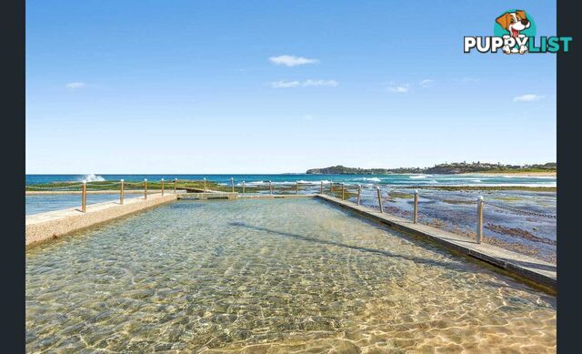 18/14-18 Golf Avenue MONA VALE NSW 2103