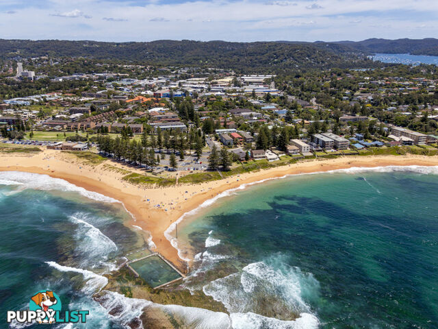 8/1630-1632 Pittwater Road MONA VALE NSW 2103