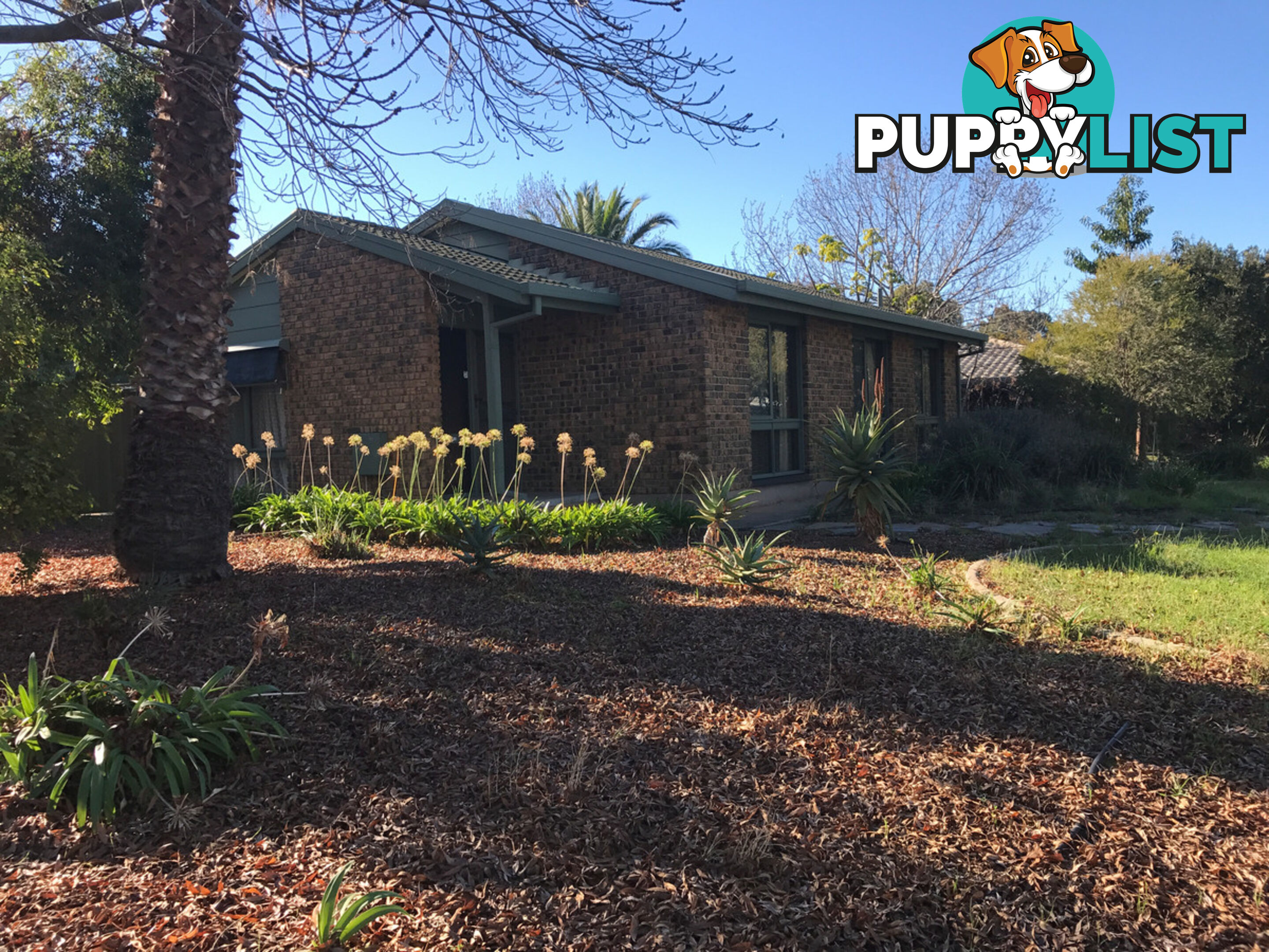 15 Sherbrooke Road SALISBURY PARK SA 5109