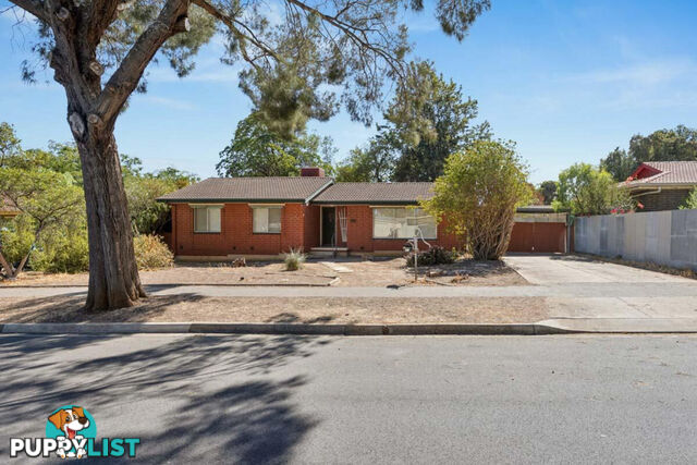 21 Montacute Street ELIZABETH DOWNS SA 5113