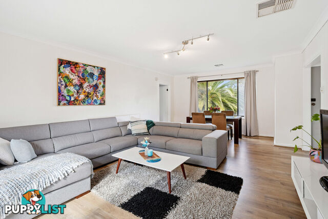 4 Terrigal Road REDWOOD PARK SA 5097