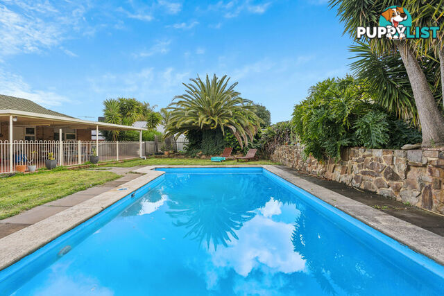 4 Terrigal Road REDWOOD PARK SA 5097