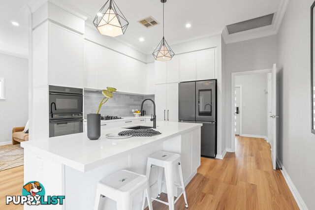19 Adeline Street MAWSON LAKES SA 5095