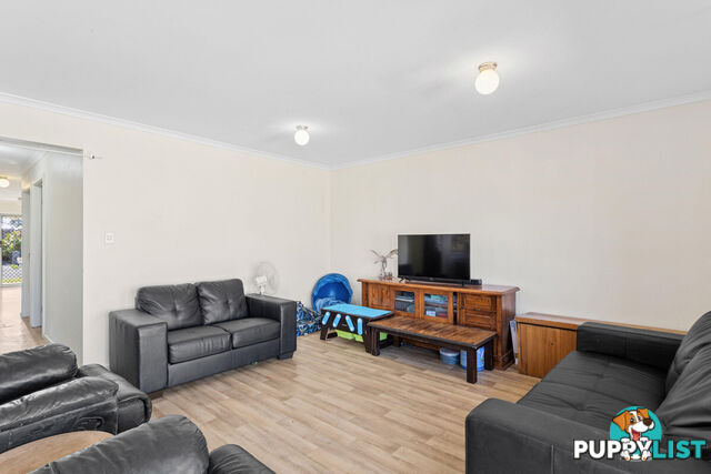 20 Brampton Court ELIZABETH NORTH SA 5113