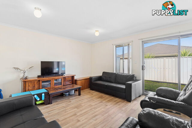 20 Brampton Court ELIZABETH NORTH SA 5113