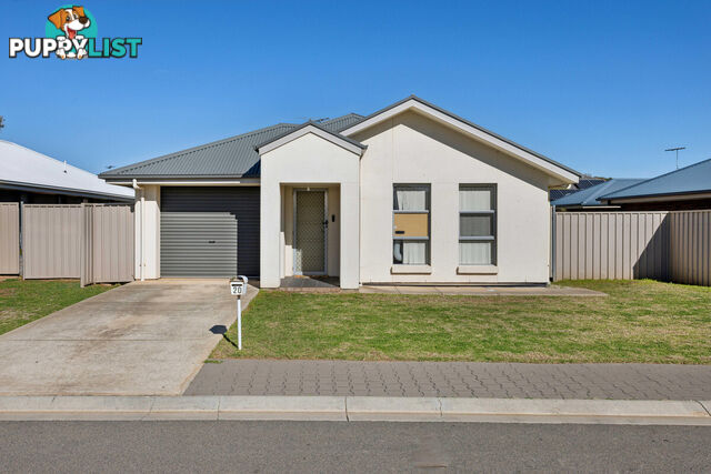 20 Brampton Court ELIZABETH NORTH SA 5113