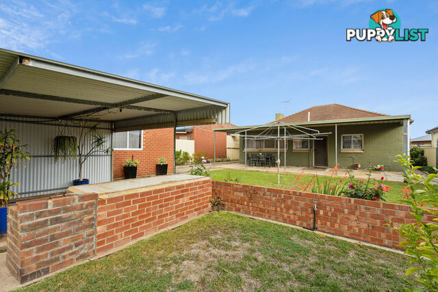 37 Pudney Street SEATON SA 5023
