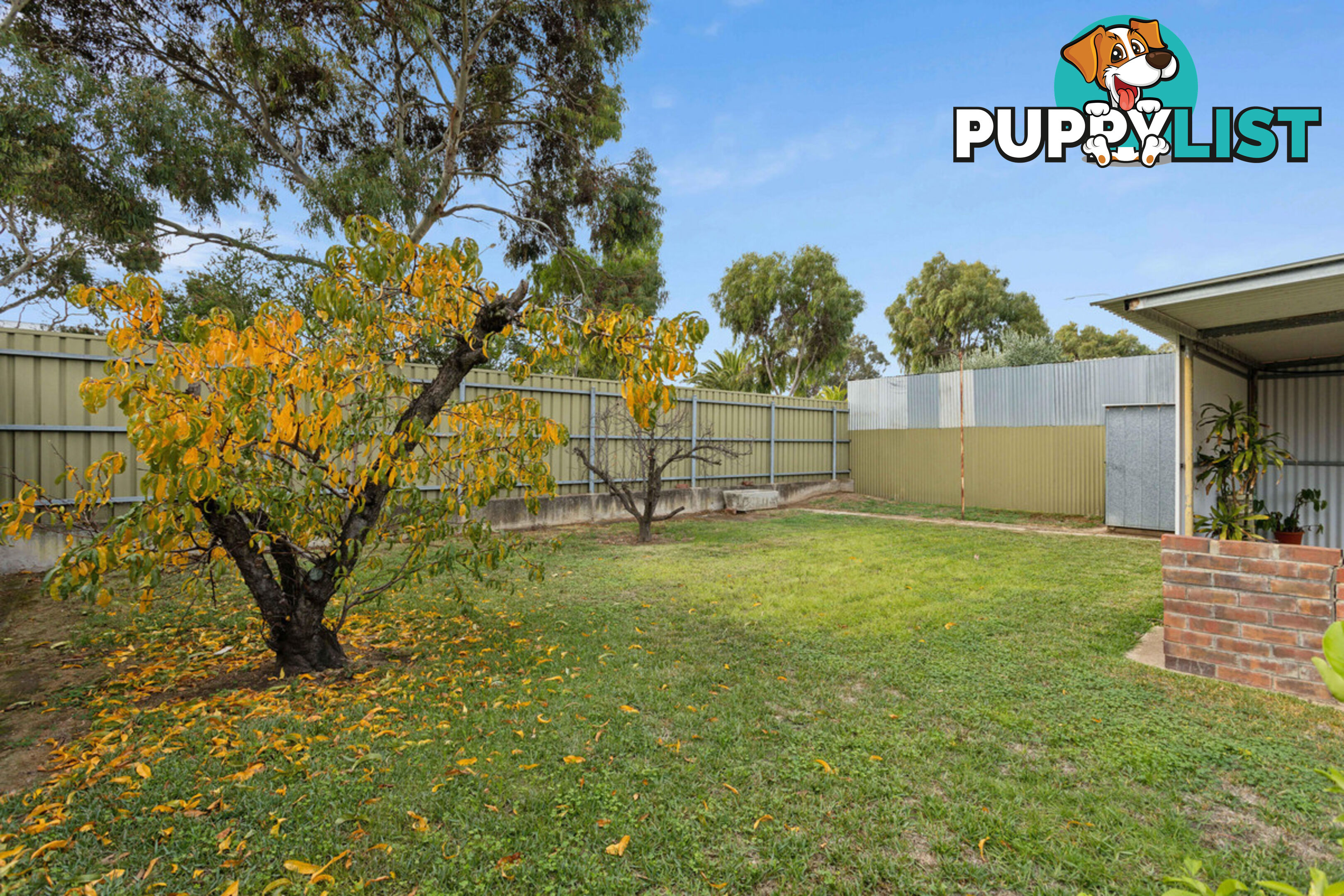 37 Pudney Street SEATON SA 5023