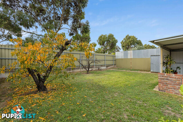 37 Pudney Street SEATON SA 5023