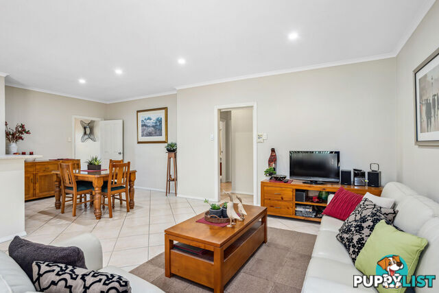 10 Sugarloaf Lane MAWSON LAKES SA 5095