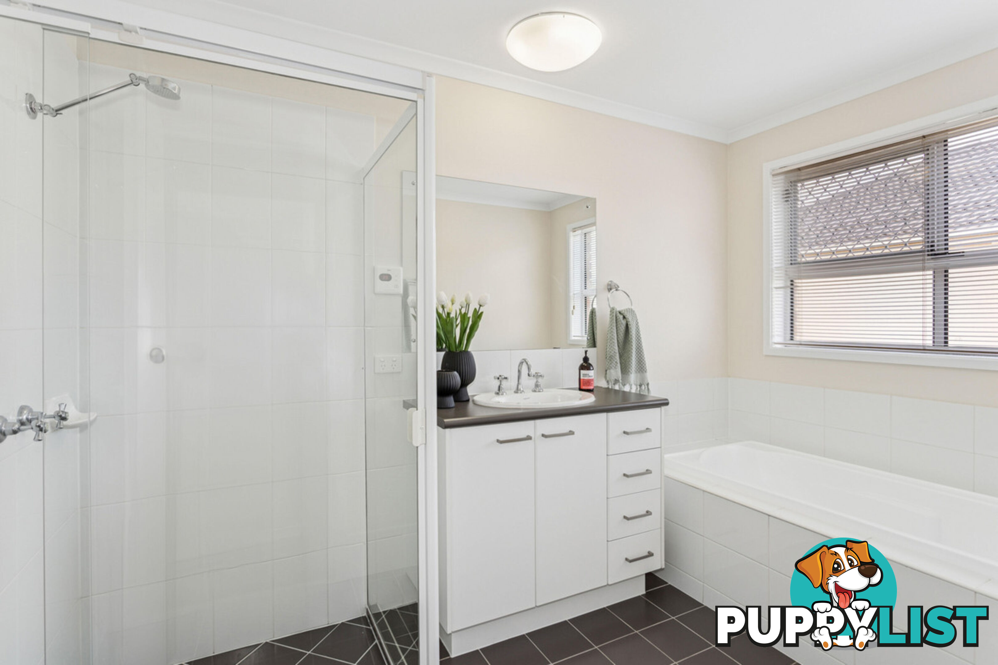 15 Elmwood Court MAWSON LAKES SA 5095