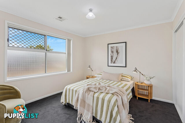 15 Elmwood Court MAWSON LAKES SA 5095