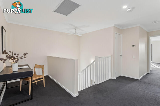 15 Elmwood Court MAWSON LAKES SA 5095