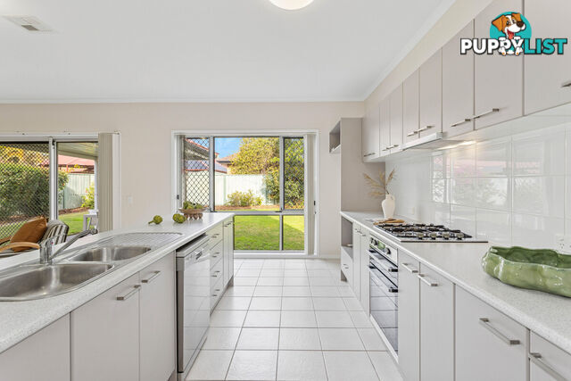15 Elmwood Court MAWSON LAKES SA 5095