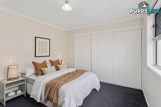 15 Elmwood Court MAWSON LAKES SA 5095