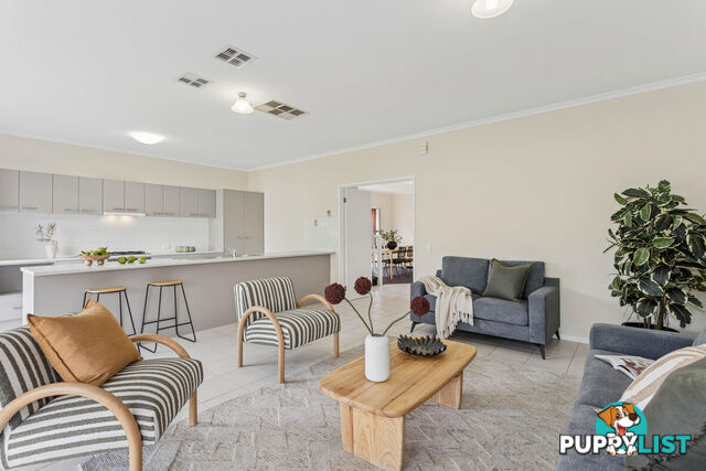 15 Elmwood Court MAWSON LAKES SA 5095