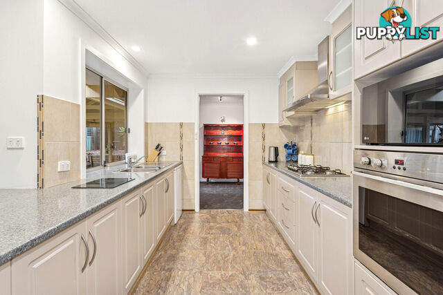 4 Phoebe Avenue MODBURY HEIGHTS SA 5092