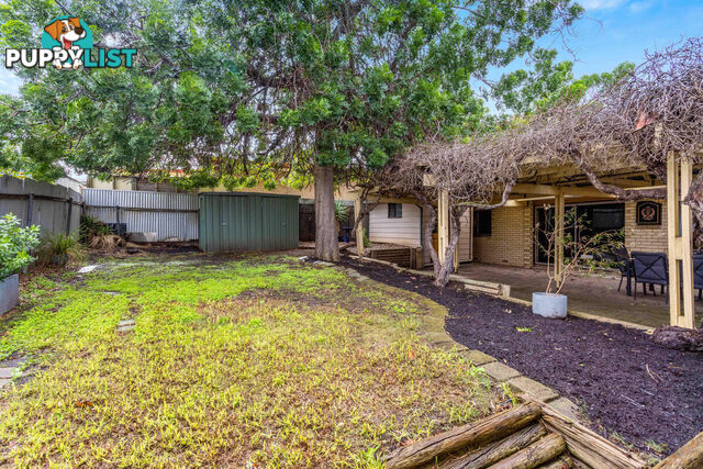 4 Phoebe Avenue MODBURY HEIGHTS SA 5092