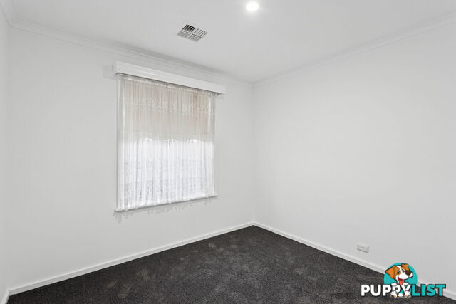 4 Phoebe Avenue MODBURY HEIGHTS SA 5092