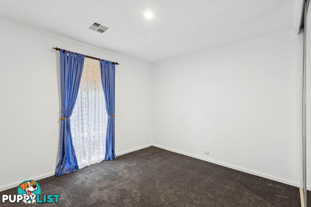 4 Phoebe Avenue MODBURY HEIGHTS SA 5092