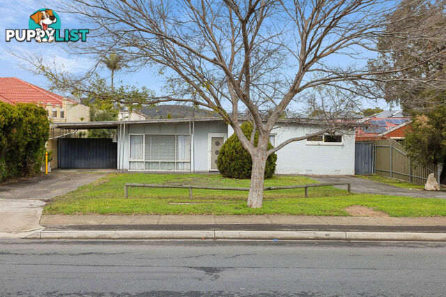304 Montacute Road ROSTREVOR SA 5073