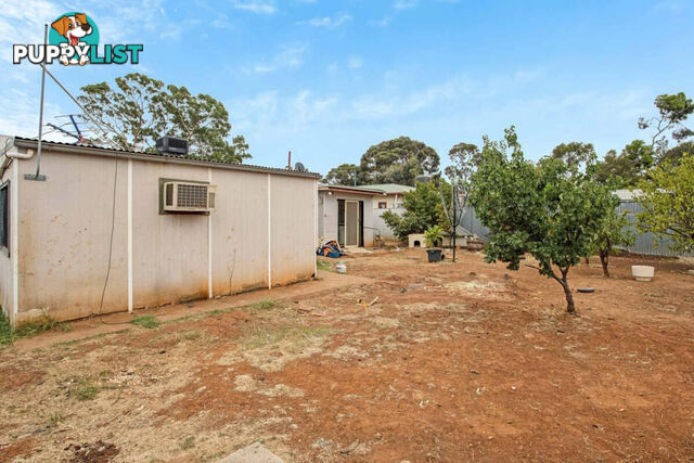 22 McKenzie Road ELIZABETH DOWNS SA 5113