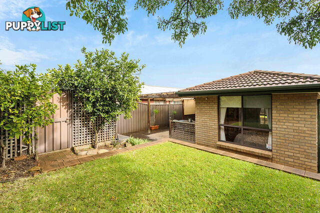 21 Hillcott Avenue WYNN VALE SA 5127
