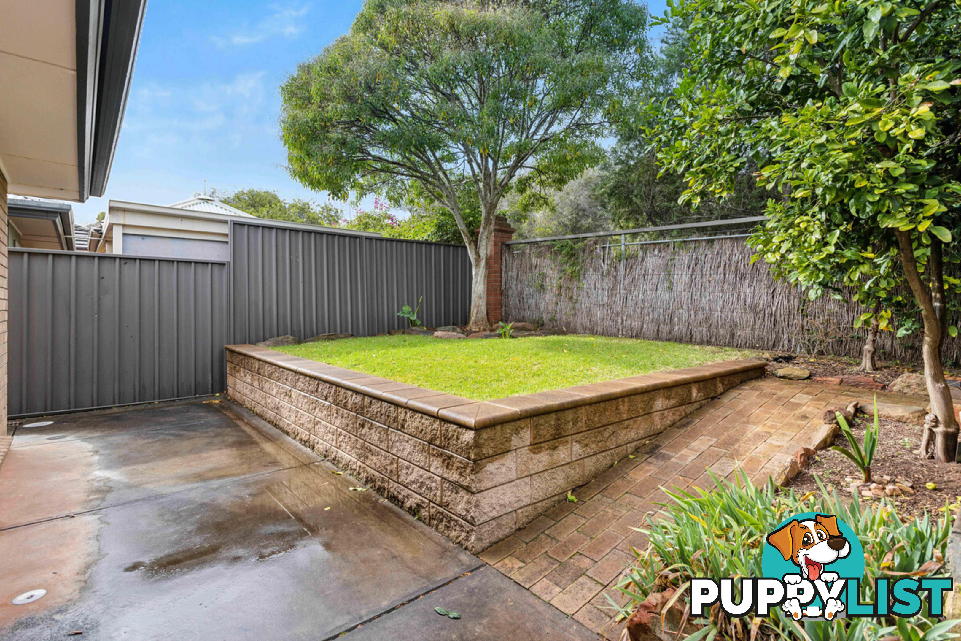 21 Hillcott Avenue WYNN VALE SA 5127