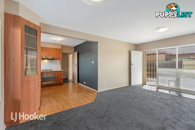 3/11 Edward Street GLYNDE SA 5070