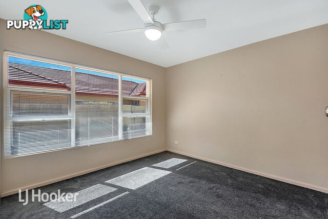 3/11 Edward Street GLYNDE SA 5070