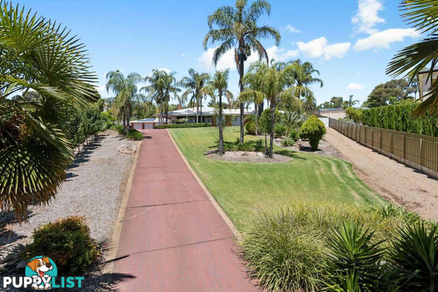 12 Dalinga Court GREENWITH SA 5125