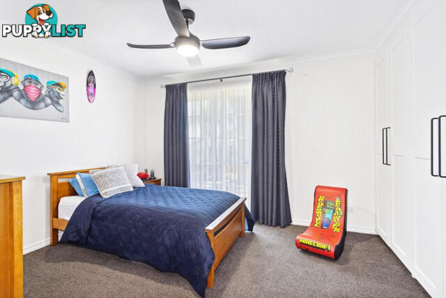 12 Dalinga Court GREENWITH SA 5125