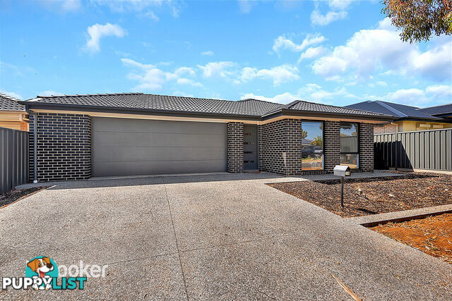 15B Lovelock Road PARAFIELD GARDENS SA 5107