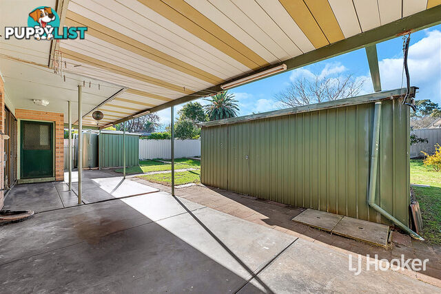 11 Canis Avenue HOPE VALLEY SA 5090